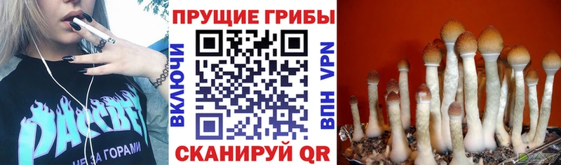 как найти закладки  shop как зайти  Галлюциногенные грибы мухоморы  Кудымкар 