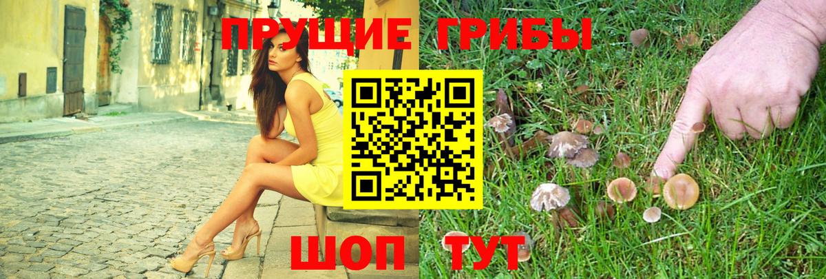 Кудымкар  Галлюциногенные грибы MAGIC MUSHROOMS  где продают   Вход с VPN  Псилоцибиновые грибы ЛСД 